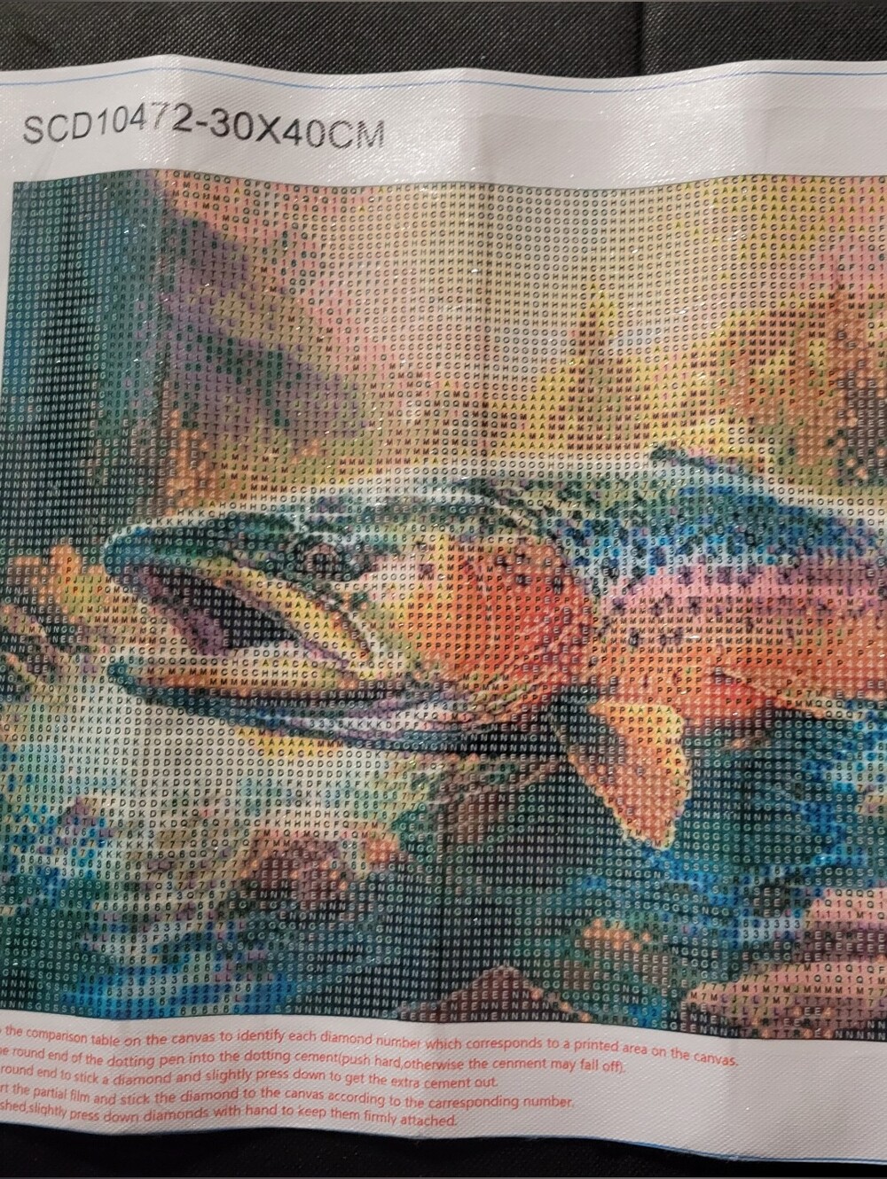 DIY Rainbow Trout Diamond Art Kit(30cm x 40cm) - Picture 3 of 3